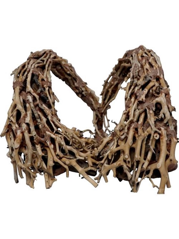4FISH Tree roots Golden Arc 40x30x30 cm Fisk