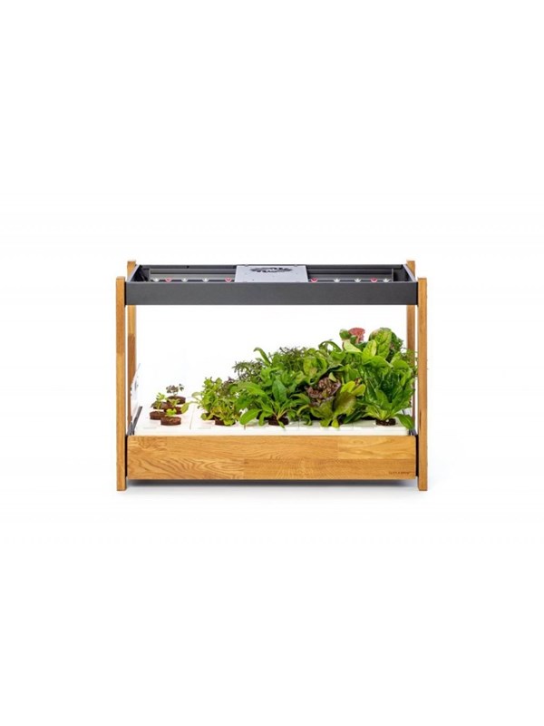 Click & Grow Click and Grow 25 - Black (Salad Greens 54x pack) Smart Home