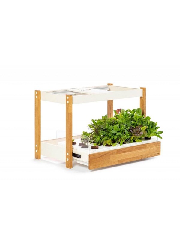 Click & Grow Click and Grow 25 - White (Salad Greens 54x pack) Smart Home