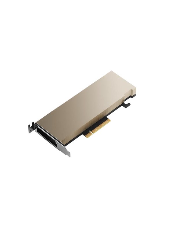 PNY NVIDIA A2 - 16GB GDDR6 RAM - Grafikkort Grafikkort