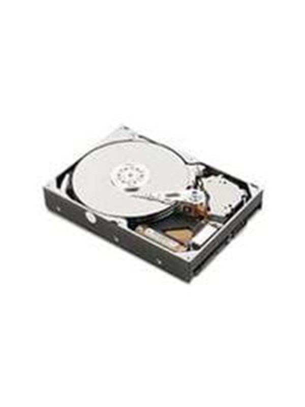 IBM - 1TB - Harddisk - 81Y9691 - SAS2 - 2.5" Harddisk
