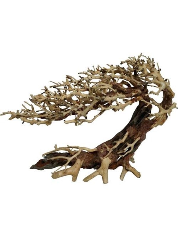 4FISH Tree roots Elegant Brazilian tree 50x20x40cm Fisk