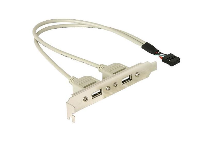 Delock - USB-panel - 10 pins USB-samlekasse til USB - 30 cm IT og elektronik > Hardware > Kabler > USB Kabler