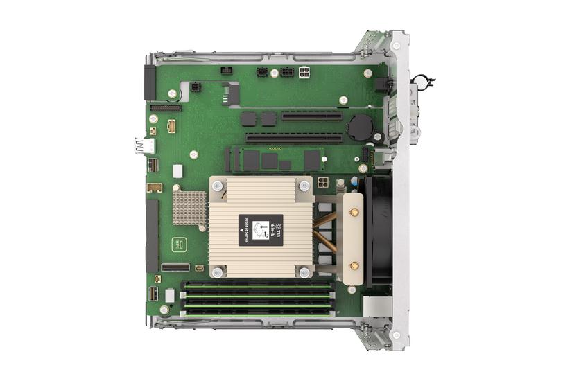 HPE ProLiant MicroServer Gen11 - ultra mikro tower Pentium Gold G7400 3.7 GHz - 16 GB - HDD 1 TB PC