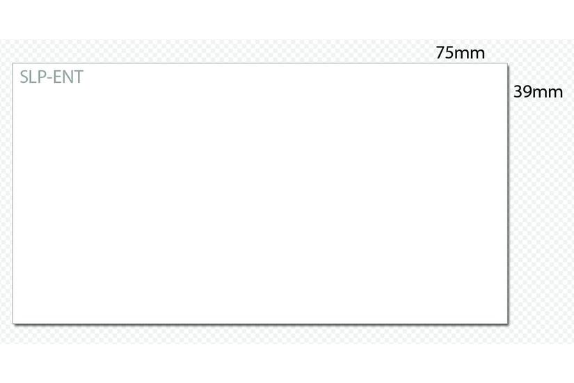 Seiko Instruments SLP-ENT - navneskiltkort - 600 kort - 39 x 75 mm IT og elektronik > Scan/Print > Papir til print > Labels/etiketter