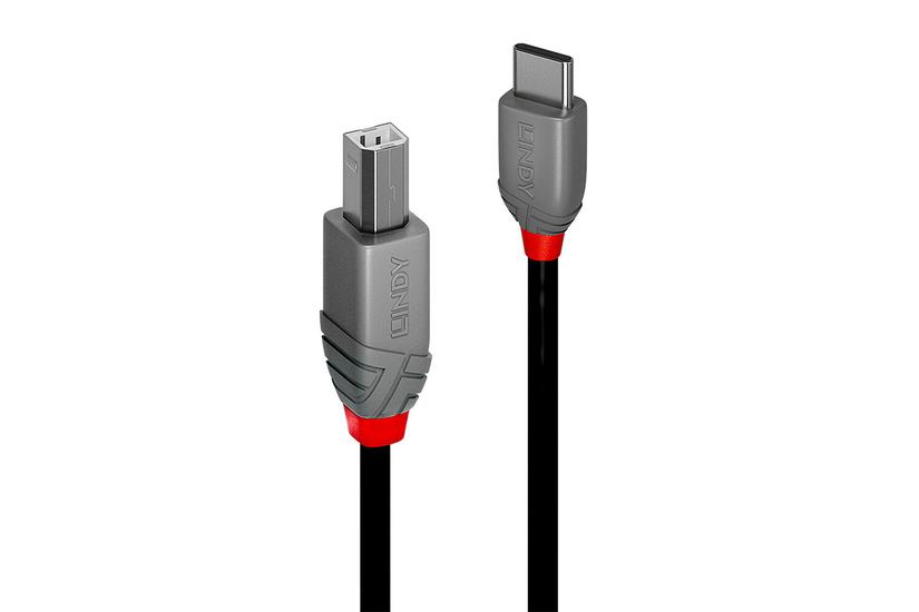 Lindy 36943 USB-kabel USB 2.0 3 m USB C USB B Sort IT og elektronik > Hardware > Kabler > USB Kabler
